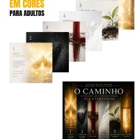 O Caminho em Cores — 5 Livros em 1