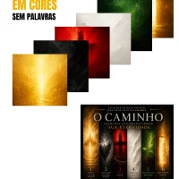 O Caminho em Cores — 5 Livros em 1
