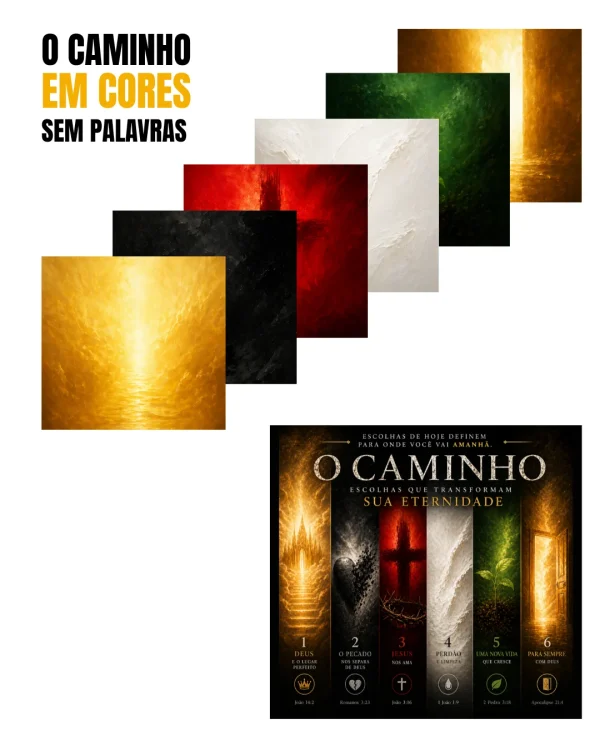 O Caminho em Cores — 5 Livros em 1